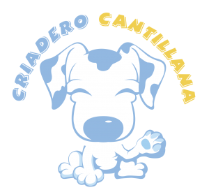 Criadero pomerania blanco